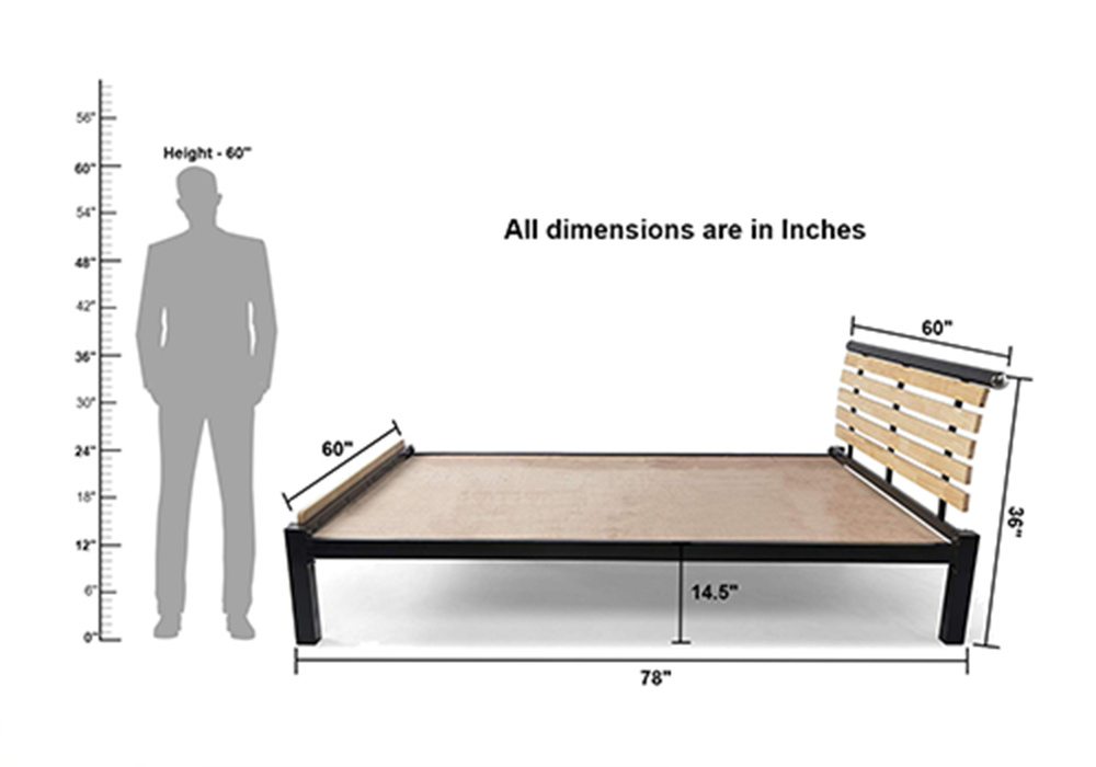 1 BHK Combo