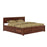 Queen Size Bed for Bedroom I Solid Wood Double Bed
