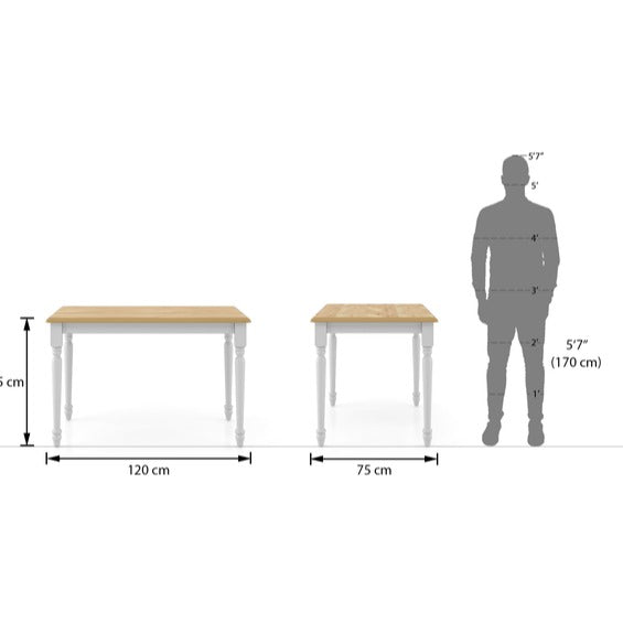 4 Seater Dining Table Two Tone With Set of 4 Dining Chair In White Finish