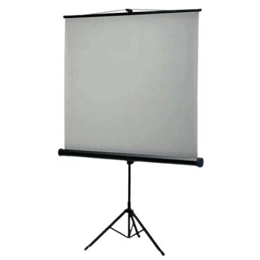 Projector Screen (4 x 6 ft) with Tripod Stand