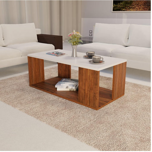 Engineered Wood Coffee Table/Center Table with Storage