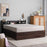 Engineered Wood King Size Bed with Box Storage